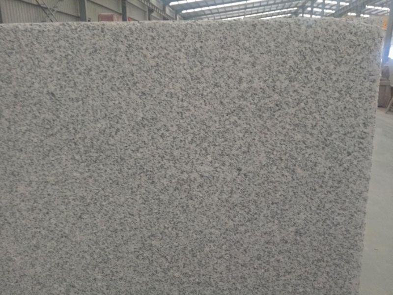Chinese G603 Light Grey Granite Slabs for Flooring, Walling and Paving Tiles