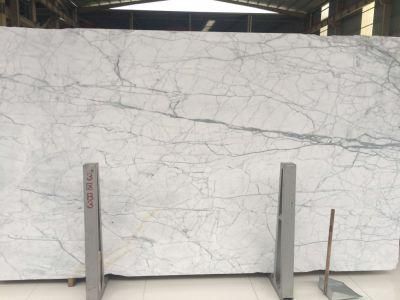 Popular Natural Chinese Staturia White Marble Slab and Tile for Hotel Wall Floor Decorate