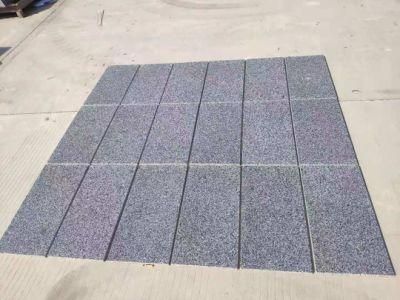 Modern Style Natural Stone Granite for Wall and Floor Tiles