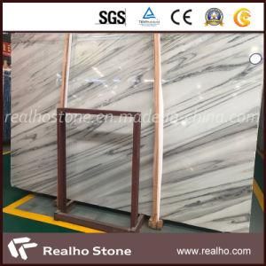 Polished Palisandor Blue Marble for Wall and Floor