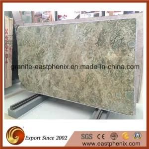 Beautiful Color Granite Stone Big Slab