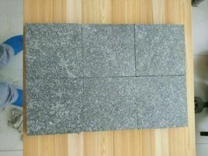 Chinese Granite G-Black with Flamed for Landscape /Garden Terrance