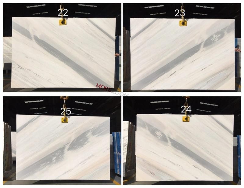 Italian Grade a Pallisandro White Marble