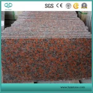 G562 Maple Red Granite for Countertop/Vanity Tops/Wall/Floor/Steps