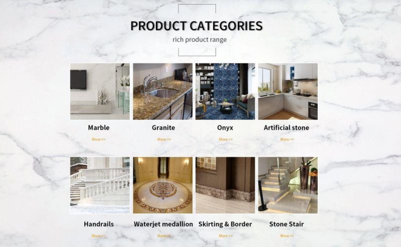 Snow White Marble Italian Statuarrietto White Marble for Flooring Tiles Slabs Countertops/Worktops/Vanitytops