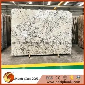 Brazil Ice Blue Granite Driveway Paving Slab Peninsulas Counter-Top Granite