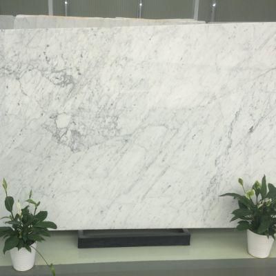 Fast Delivery Natural White Marble Slab for Wall and Floor Tiles