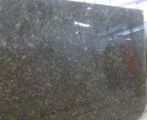 Polished Butterfly Green Granite for Stone Floor Tiles Indoor Decoration Project Use