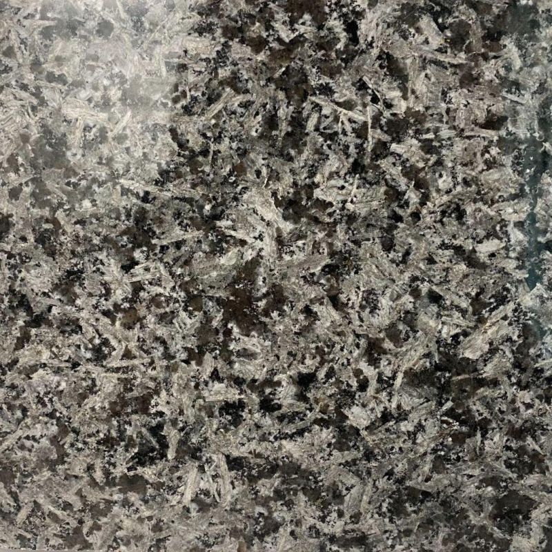 Natural Building Material Polished Granite Cut to Size for Wall/Floor Tiles