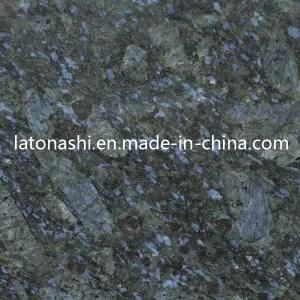 China Best Price Butterfly Blue Granite for Countertop