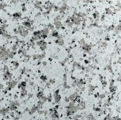 Building Material Natural Granite Slab for Building Floor Stair Paving Decoration
