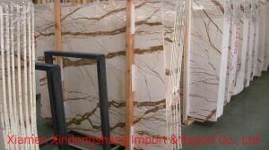Slabs and Tiles /Sofitel Gold