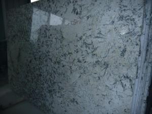 Imported Granite Raw Silk for Tiles/Countertops/Kitchentops/Hotel/Building Materials