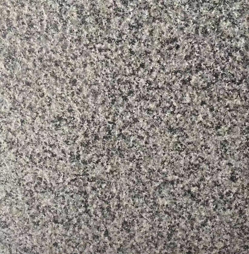 Litch Surface Granite for Stair Floor Walls