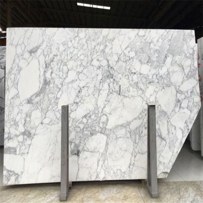 China Cheap Polished White Stone Arabescato Corchia White Marble