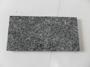 Ice Flower Granite for Tiles