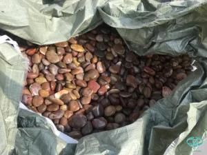 Chinese Beautiful and Top Quality Pebbles