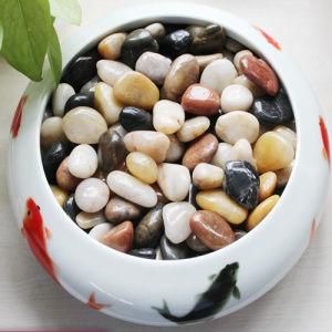 Washed Landscpe Coin Garden Stone