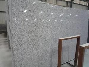 G640 Big Slab / Chinese Grey Granite Bianco Sardo