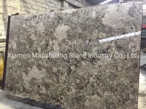 Indian Antico Silver/Antique Cream/Alaska White Granite