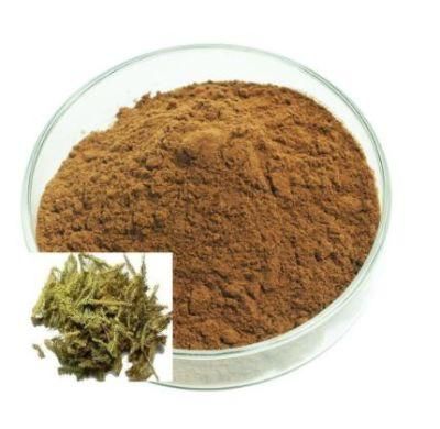 China Supplies High Quality Raw Material Lycopodium