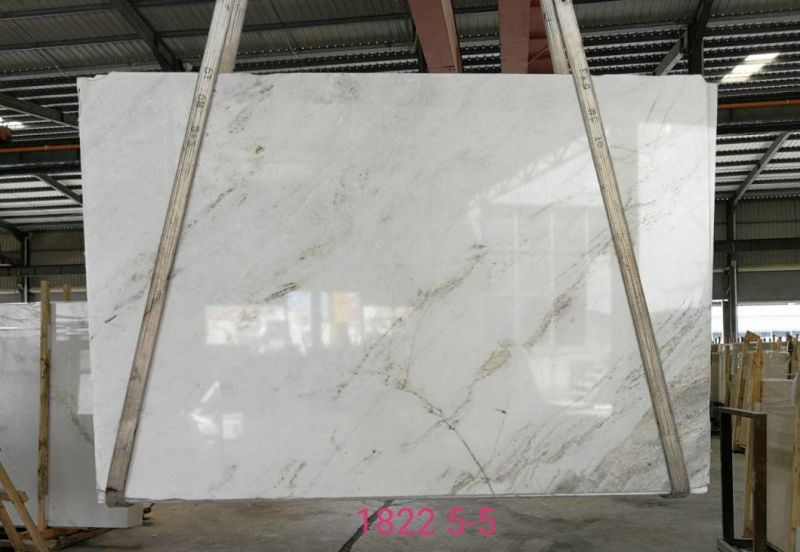 Popular Natural Chinese China Venato White Marble Slab and Tile for Hotel Wall Floor Decorate