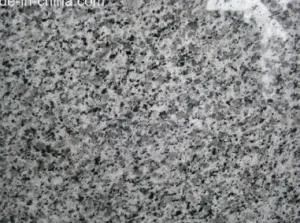 G640 Bianco Sardo Grey Granite for Tile Stair Slab