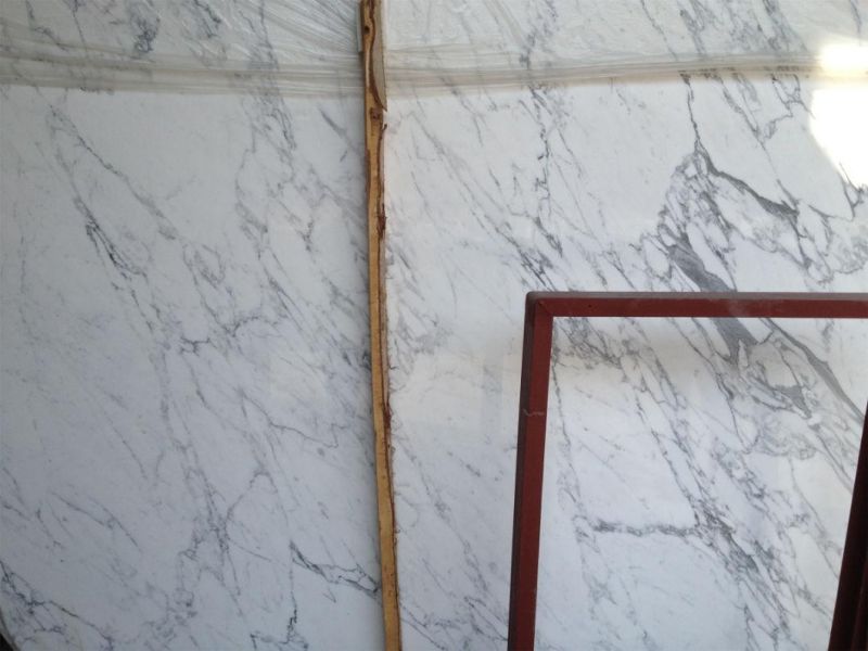Natural Stone Calaeatta White Marble for Home/Kitchen Decoration