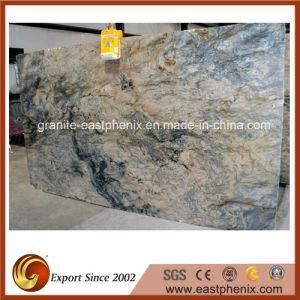 Blue Fusion Granite Big Slabs