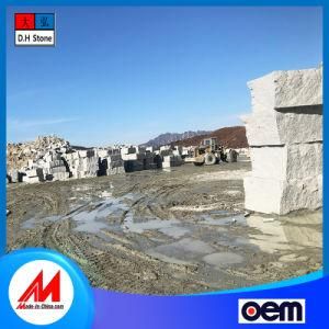 Made in China Curb Paving Stone for Outdoor Garden Crossing River