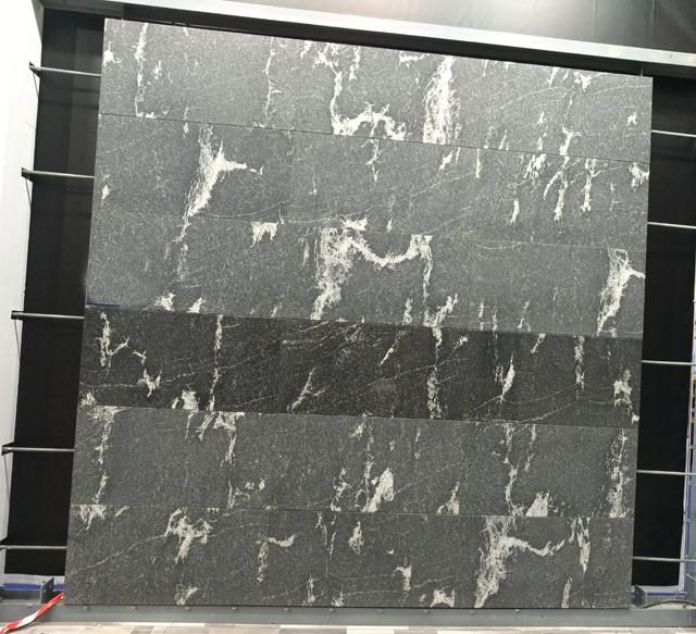 Snow Grey Ebony Black Granite Tiles Slabs