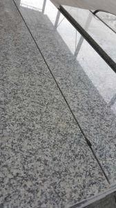 Chinese/Cheap G602 Grey Granite for Polished Flamed Tile