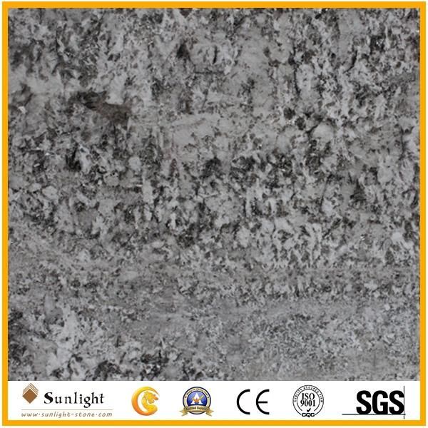 Popular Bianco Antico Silver Color Granite Kitchen Countertop Slabs