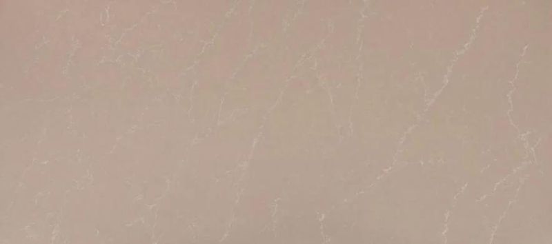 Black Quartz Countertop with White Shallow Grain