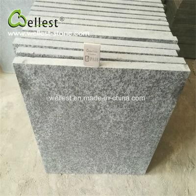 Wellest Dark Grey Granite Tile Flamed Finish Paving Stone for Flooring Paver Wall Cladding
