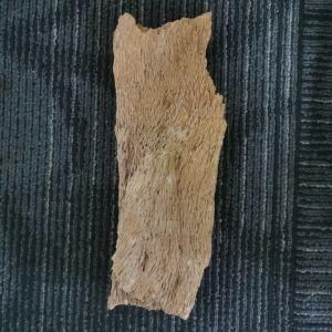 Tank Stone Silicified Wood Stone for Aquarium Decoration
