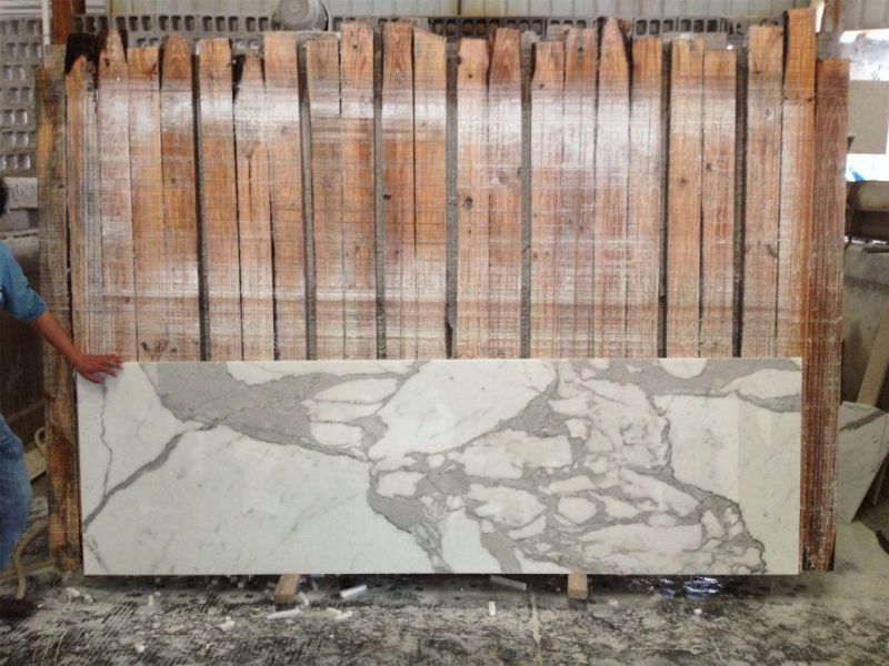 Calaeatta White Stone Marble for Flooring Tiles Slabs Countertops/Worktops/Vanitytops