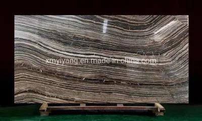 Luxury Black Forest Marble Slabs for Kitchen Countertop Bathroom Vanity Top