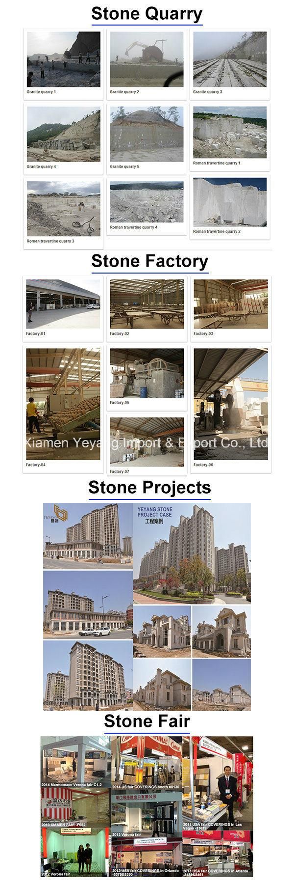 Polished Interior Decoration Wood Grain Marble for Flooring/Wall