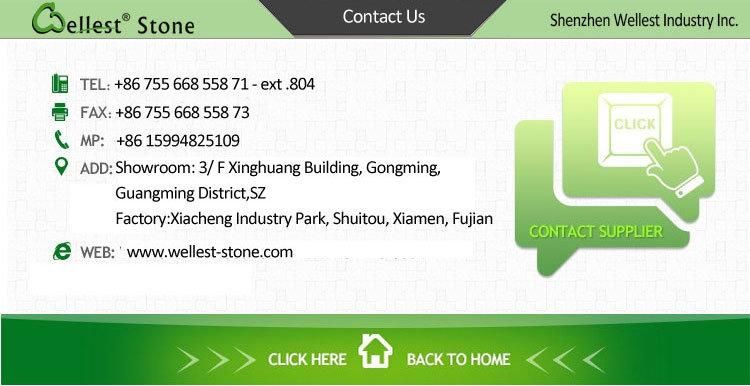 Natural Surface Meshed Black Basalt Paving Stone for Landscape Garden/Driveway