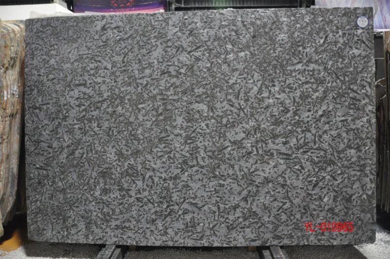 Gem Brown Polished Marble Slabs for Interior Flooring Wall Decoration