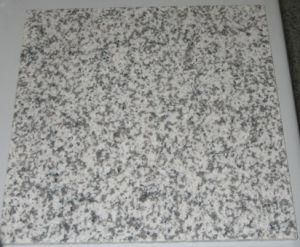 White Granite G655 for Slab/Countertop/Vanitytop/Grey Granite