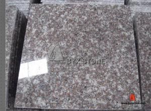 G664 Bainbrook Brown Granite Tiles for Wall and Floor