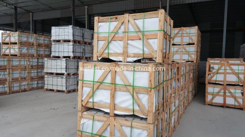 Grey Basalt 10X10 Paver for Walkway Paving