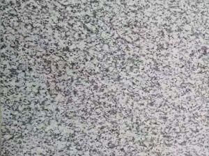 Jilin White Granite / Ivory White Granite / G439
