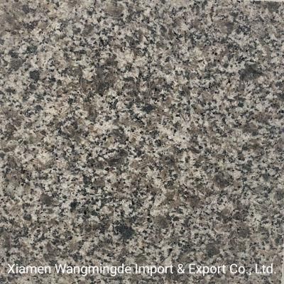 Dalian Grey Polished Granite Slab for Flooring Tile Countertop