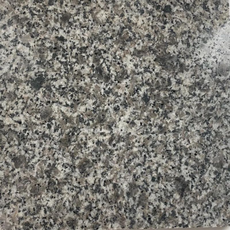 Natural Granite Black/White/Grey Polished/Honed/Flamed/Brushed