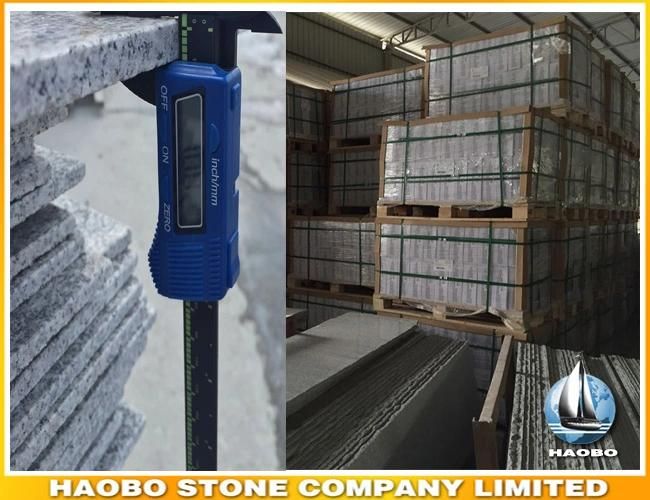 spray White Granite Polished