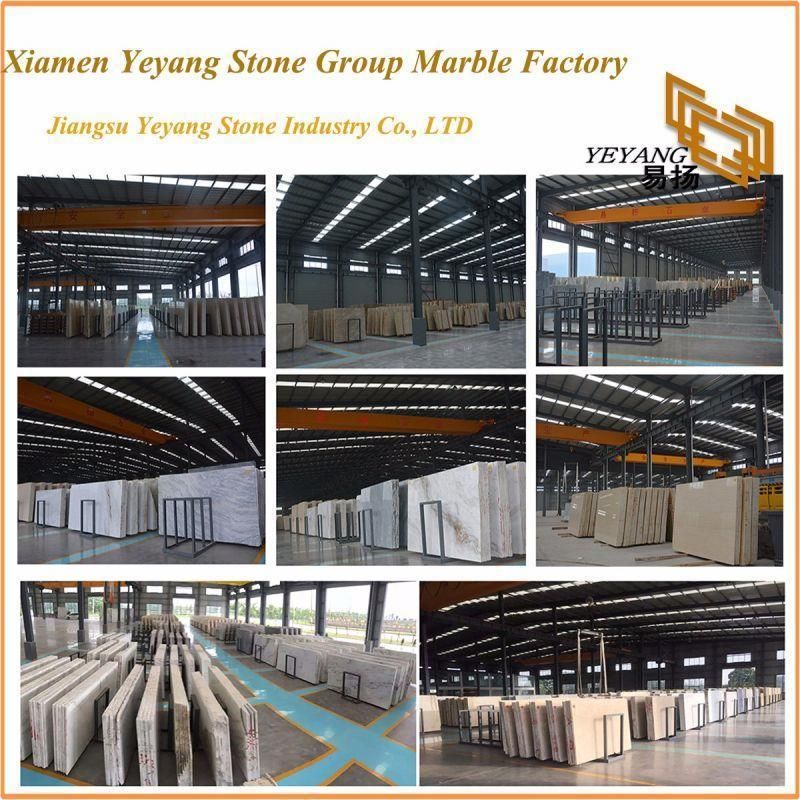 Wholesale White Marble for Bathroom Vanity/Countertop/Wall Floor Tiles