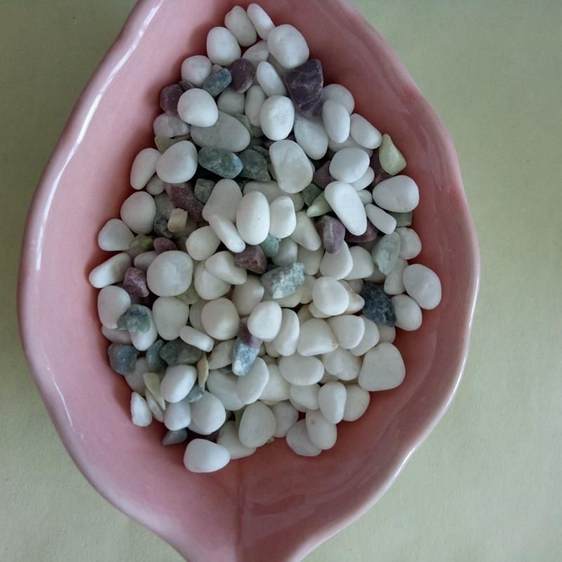 Small Pure White Pebbles/Cobblestone with Low Price